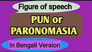 what is Pun or paronomasia| figure of speech in english grammar