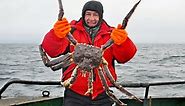 Discover the Largest King Crab Ever