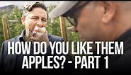 How do you like them apples? - PART 1
