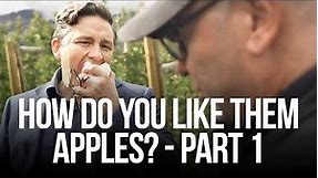 How do you like them apples? - PART 1