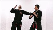 Kenpo Technique Against Lapel Grab
