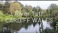 River Taff Calming Scenery Cardiff Wales UK