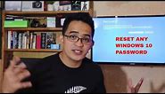 RESET Windows 10 password, No software used. Do it like a pro!
