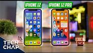 1 Week with the iPhone 12 & iPhone 12 Pro! | The Tech Chap