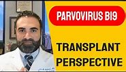 Parvovirus B19 | Transplant Perspective