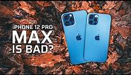 iPhone 12 Pro vs 12 Pro MAX Camera Comparison | Which Camera Is The Best?