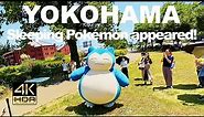 【4K HDR🇯🇵】The wild Snorlax has appeared! Snorlax is sleeping!