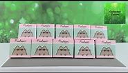 Pusheen The Cat Summer Collectible Pin Unboxing Blind Box Review | CollectorCorner