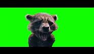 Rocket Raccoon Crying and Screaming - Green Screen