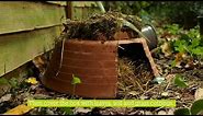 How To Build a Hedgehog House