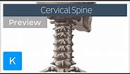 Vertebrae of the cervical spine (preview) - Human Anatomy | Kenhub