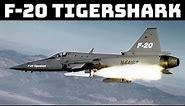 F-20 TigerShark | should have been built