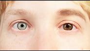 People Change Their Eye Color For A Week