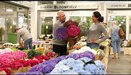 The Flower Market Behind Every Great Florist | New Covent Garden Market