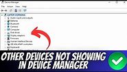 How To Fix Other Devices Not Showing In Device Manager - Windows 10
