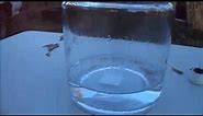Alchemy Experiments With Water - How To Do Water Alchemy