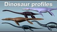 Dinosaur profiles 15