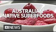 Packed full of antioxidants, Australian Native foods are going global | ABC News