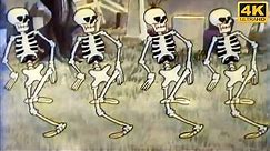 Spooky Scary Skeletons - Original Video [4K HD]