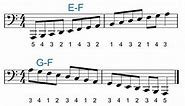 Piano Scale and Chord Fingering for the Left Hand