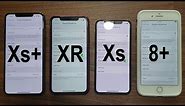 iPhone Xr - Display Quality Comparison with Xs, Xs Max and 8 Plus