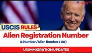 US Immigration: Alien Registration Number | Immigrant Visa Updates | Green Card, H1B, L-1B, EAD