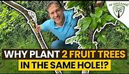 Why Plant Two (2) Fruit Trees In The Same Hole!? | 5-Year Update (Before & After)