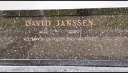 The grave of actor David Janssen#davidjanssen #actor #classictv #thefugitive #famousgrave #losangeles #hillsidememorialpark #culvercity #hollywood #quinnmartin #crimedrama #television #the60s #celebrity