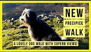 New Precipice Walk | Dolgellau | North Wales | UK @MountainCountryCoastScenery
