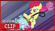 Apple Bloom: Pest Pony (Bloom and Gloom) | MLP: FiM [HD]