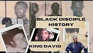 (Detailed) Black Disciple History Part 1 (1960s) | Chicago Gangs (BDs)