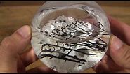 Ecosphere Fully Enclosed Aquatic Ecosystem in a Glass Ball