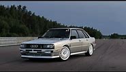 BEST AUDI 80 B2 QUATTRO COMPILATION | Car Enthusiast On YouTube