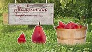 Pear Varieties