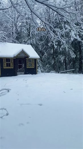 anne_ma.xx (@anne_ma.xx)’s videos with The Winner Is... Version - DeVotchKa