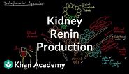Renin production in the kidneys | Renal system physiology | NCLEX-RN | Khan Academy