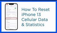 Apple iPhone 13: Reset Cellular Data Statistics and Settings | Easy Steps
