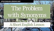 The Problem with Synonyms - Little English Lesson #001