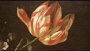Dutch Art Deep Dive: The Significance of Tulips in Dutch Art