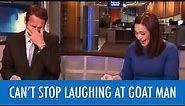 News Anchors Can't Stop Laughing At Goat Man