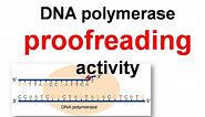 DNA polymerase proofreading