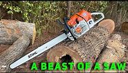 Stihl 881- the largest chainsaw they build at 122cc