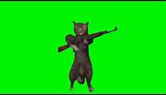 Cat shooting from AK-47 meme (green screen)