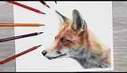 HOW TO DRAW a FOX with Colored Pencils
