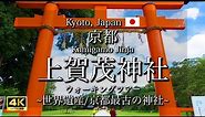[京都|Kyoto]"上賀茂神社"を観光｜京都最古の神社にして世界遺産｜"Kamigamo-jinja Shrine" Walking Tour(Vlog)[4K]