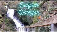 Dolgoch Falls voted best waterfall in North / mid Wales