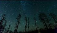live wallpaper free . starry sky, trees, stars, background full HD 4K