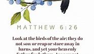 Spiritual Meaning Of Birds In The Bible - CHURCHGISTS.COM