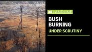 WA Bush Burn: Finding a balance between prescribed burning and biodiversity | ABC News