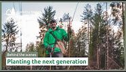Planting the next generation of forest | Timber stories